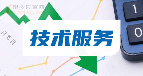 2024年 技術(shù)服務(wù)概念股票是哪些 利好什么股票 9月13日